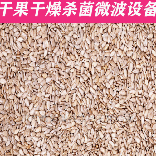 无壳瓜籽烘干熟化微波设备
