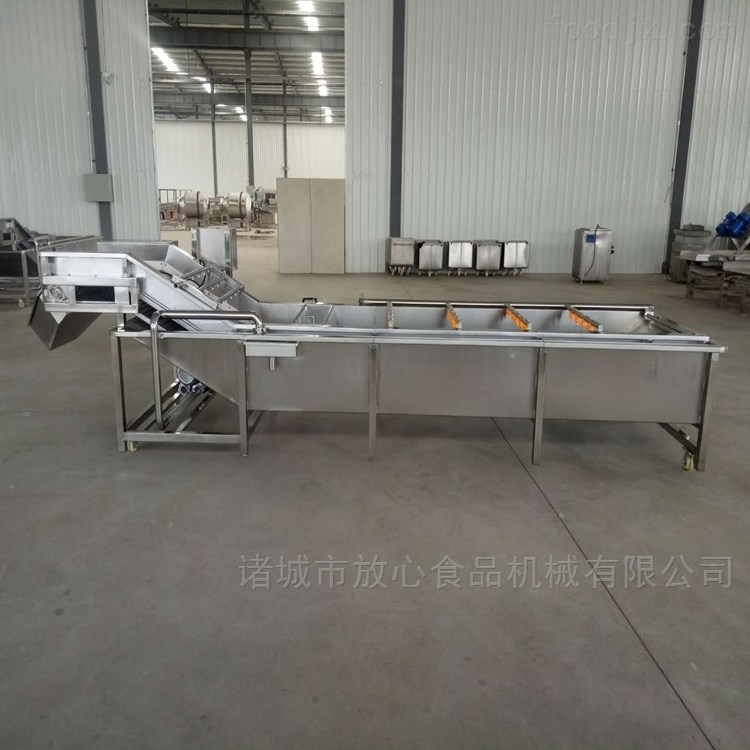 新型紫苏叶清洗机