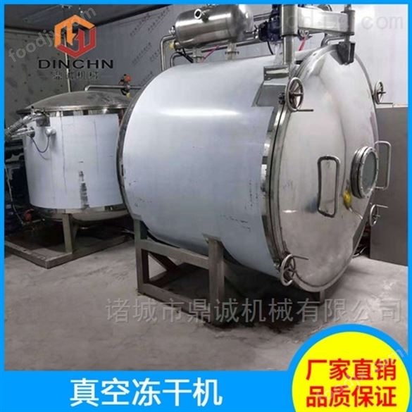 草莓低溫凍干機 草莓真空冷凍干燥機