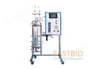 GBQS系列氣升式玻璃發(fā)酵罐