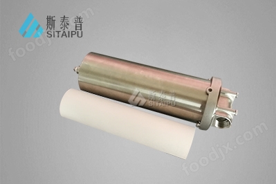 10寸保安過濾器