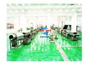 定制-果蔬加工預(yù)處理生產(chǎn)線