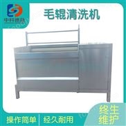 根莖類毛刷毛輥去泥去皮果蔬清洗機(jī)