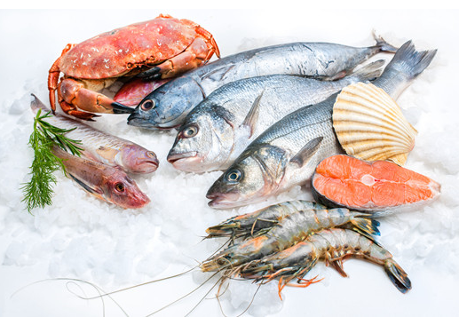 天津渔业创新思路谋发展水产品加工加速度