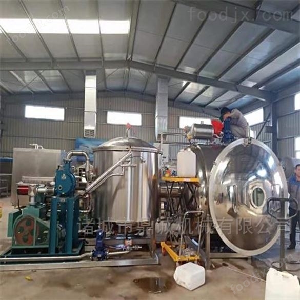 草莓冷凍干燥機