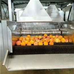 蘋果打蠟機 黃瓜噴臘設(shè)備